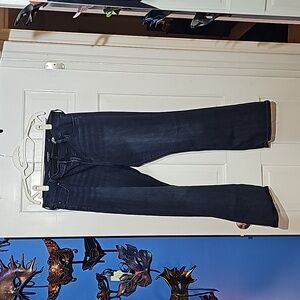 Liverpool Los Angeles 16w Boot Cut Jeans